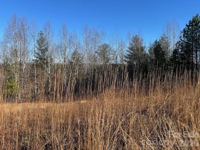 0 Hope Drive, Rutherfordton, NC 28139