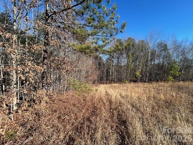 0 Hope Drive, Rutherfordton, NC 28139