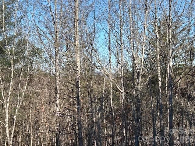 0 Hope Drive, Rutherfordton, NC 28139