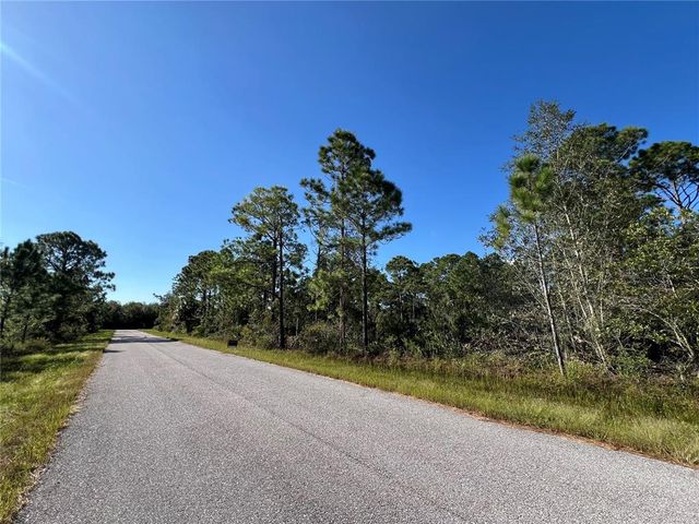 541 EMBRACER STREET NW, Lake Placid, FL 33852
