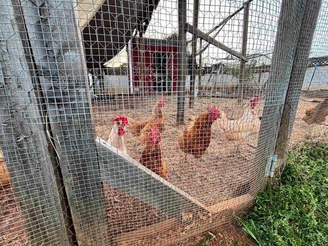 119 Inman Rd, Inman, SC 29349