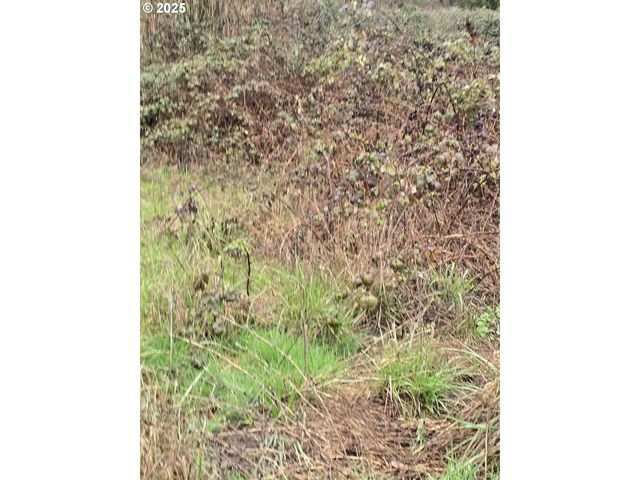 0 TILLER TRAIL Hwy, Canyonville, OR 97417