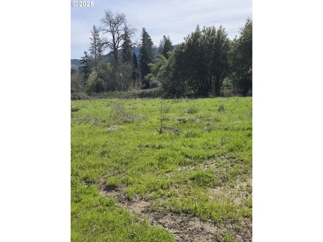 0 TILLER TRAIL Hwy, Canyonville, OR 97417