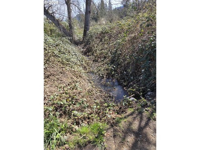 0 TILLER TRAIL Hwy, Canyonville, OR 97417