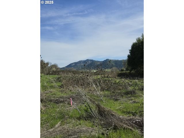 0 TILLER TRAIL Hwy, Canyonville, OR 97417