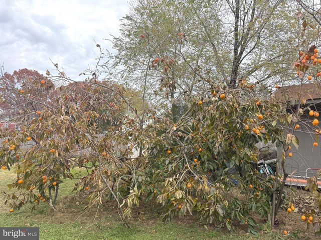 21660 N ESSEX DR, Lexington Park, MD 20653