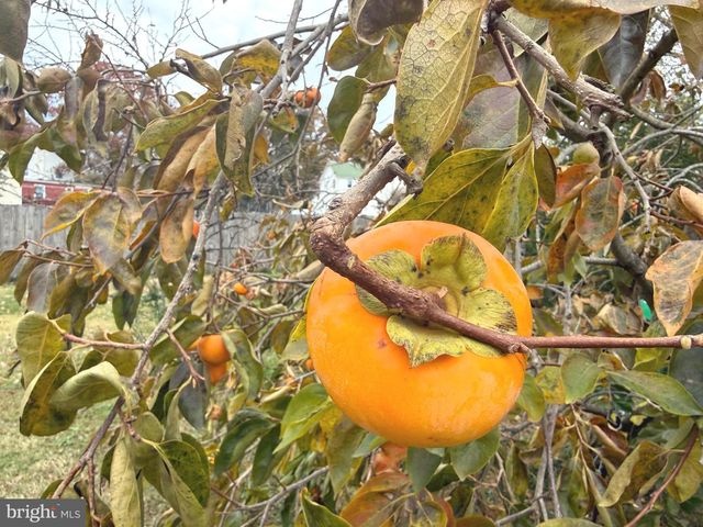 21660 N ESSEX DR, Lexington Park, MD 20653