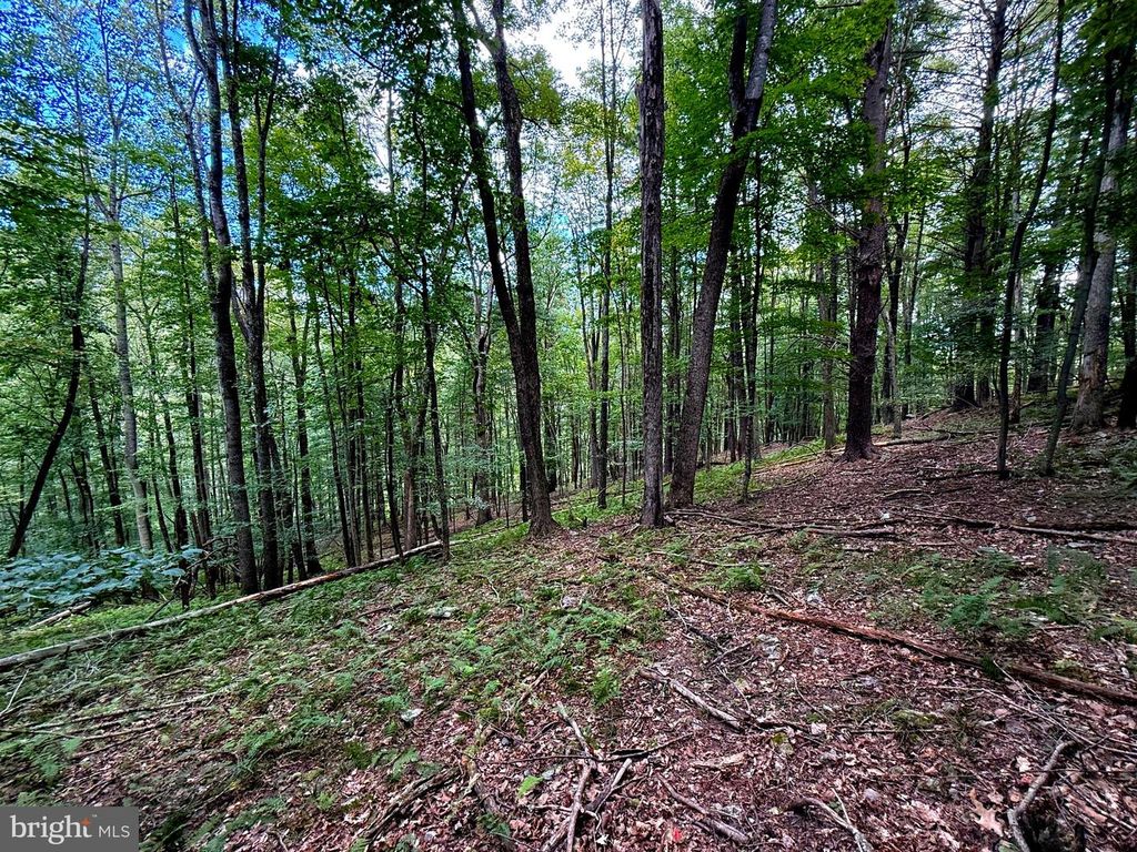 LOT 20 WITS END, Mathias, WV 26812