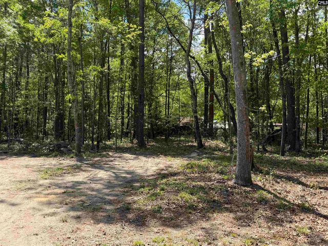 115 Ash Hill Drive, Eutawville, SC 29048