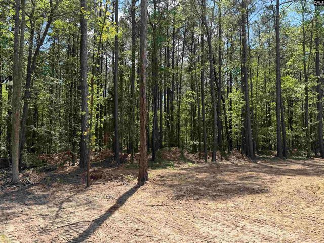 115 Ash Hill Drive, Eutawville, SC 29048