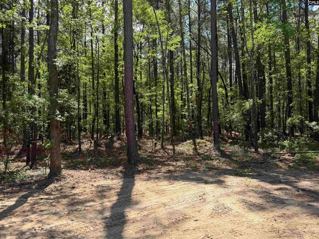 115 Ash Hill Drive, Eutawville, SC 29048