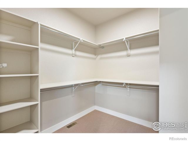 1168 Blue Agave Court, Loveland, CO 80537