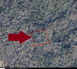 00000 No Access W Of Meadows Green Road, Mims, FL 32754