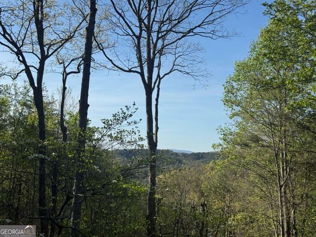 1600 My Mountain Road, Morganton, GA 30560