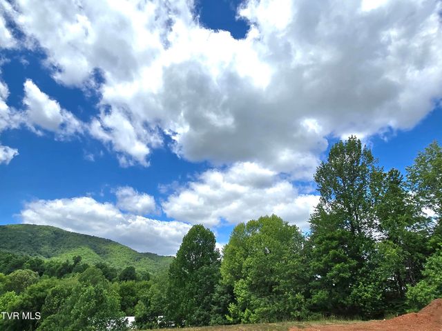 117 Clearwater Drive, Unicoi, TN 37692