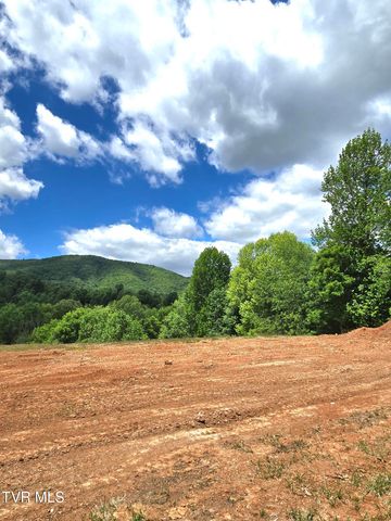 117 Clearwater Drive, Unicoi, TN 37692