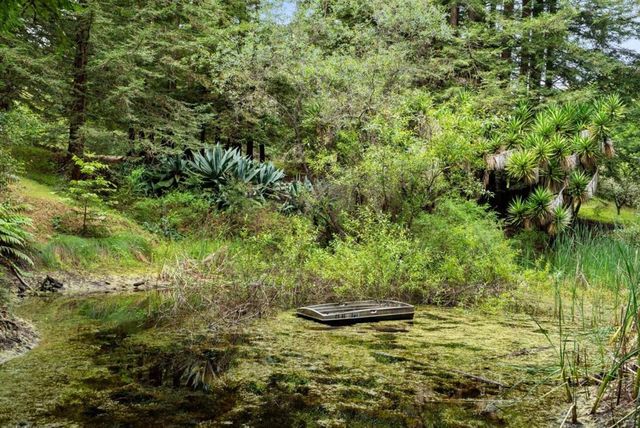 163 Buzzard Lagoon Road, Watsonville, CA 95076
