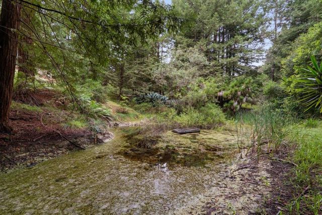163 Buzzard Lagoon Road, Watsonville, CA 95076
