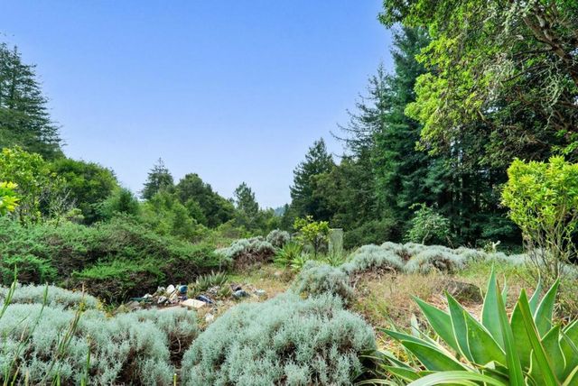 163 Buzzard Lagoon Road, Watsonville, CA 95076