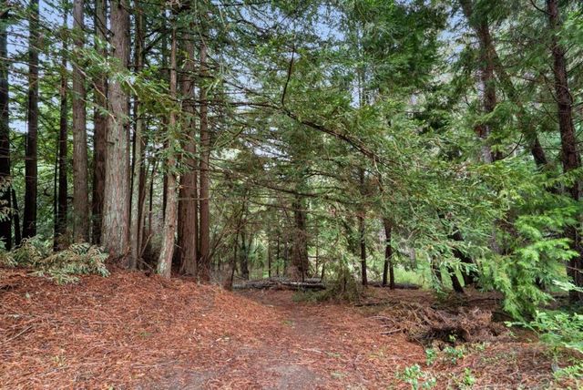 163 Buzzard Lagoon Road, Watsonville, CA 95076