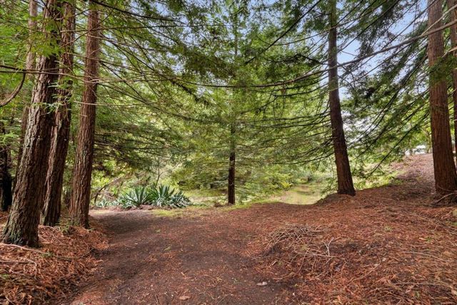 163 Buzzard Lagoon Road, Watsonville, CA 95076