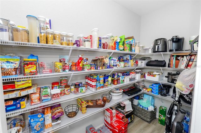 6679 TREYMONT DRIVE, Lakeland, FL 33813