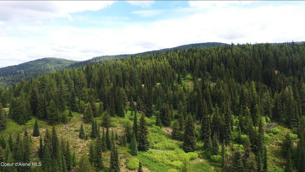 NKA 640 AC Pack Creek Road, unincorporated, ID 83525 photo 3