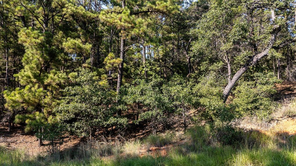 136 Lamaloa LN, Bastrop, TX 78602