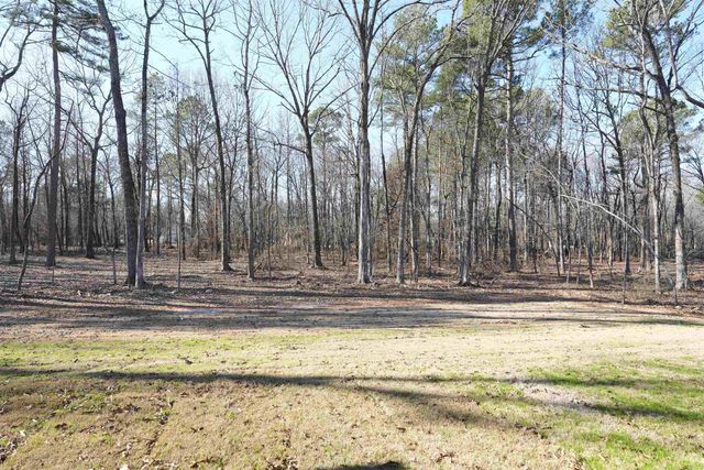 3084 Avilla Manor, Alexander, AR 72002