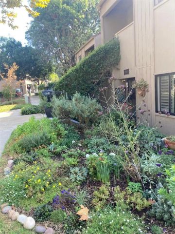 31403 E. Nine, Laguna Niguel, CA 92677