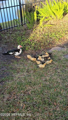 14779 AMELIA VIEW Drive, Jacksonville, FL 32226