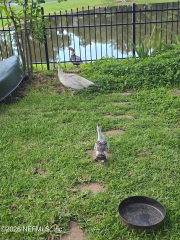 14779 AMELIA VIEW Drive, Jacksonville, FL 32226