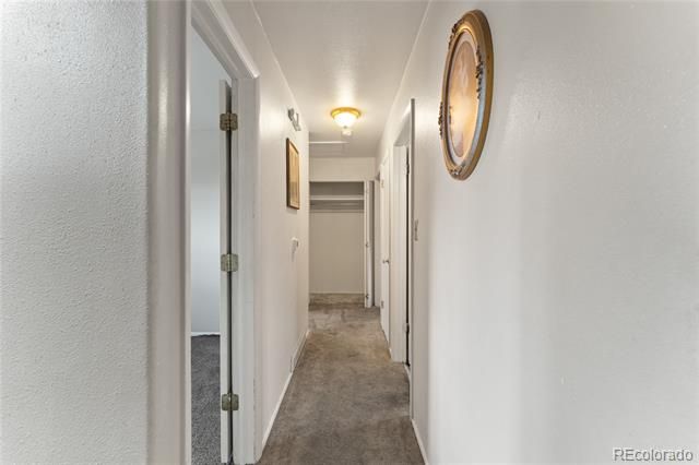 1924 Mccooke Drive, Colorado Springs, CO 80910