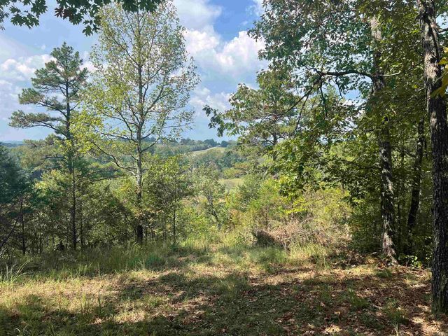 1435 Burnt Ridge Rd (Mobile), Shirley, AR 72153