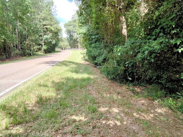 19300 Mount Pleasant Road, Montgomery, TX 77356