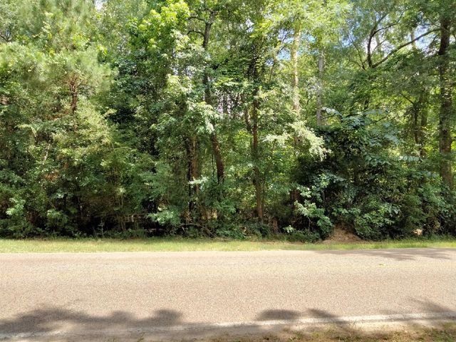 19300 Mount Pleasant Road, Montgomery, TX 77356