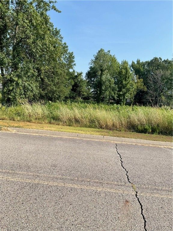 Lot 28 E C Street, Russellville, AR 72802