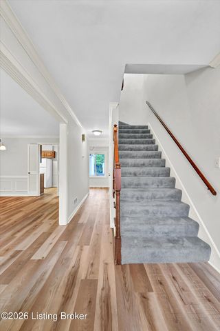 107 Shelby Pointe Dr, Louisville, KY 40223