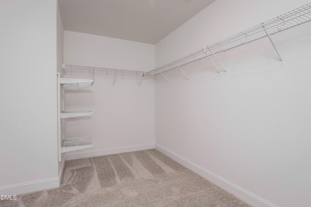 175 Cherry Bark Loop, Clayton, NC 27527