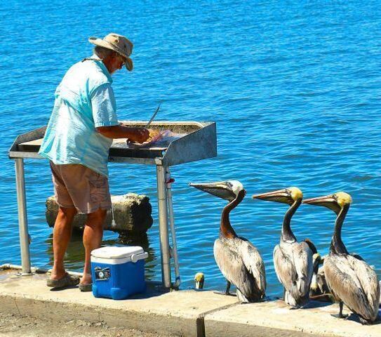 616 NW Whitfield Way, Port St. Lucie, Port St Lucie, FL 34986