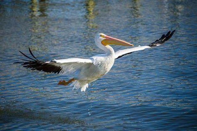 616 NW Whitfield Way, Port St. Lucie, Port St Lucie, FL 34986