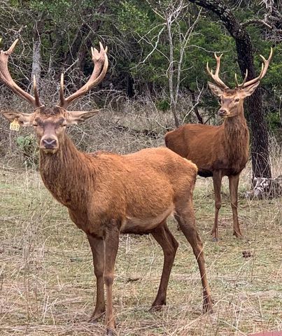 TBD 281 Highway, Lampasas, TX 76550