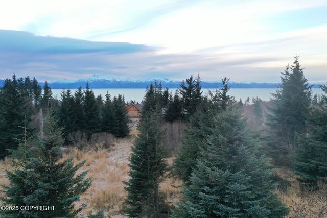 3720 Forest Glen Drive, Homer, AK 99603