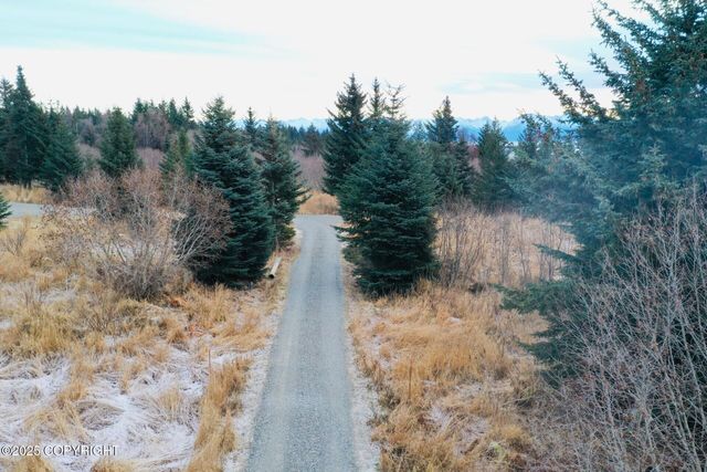 3720 Forest Glen Drive, Homer, AK 99603