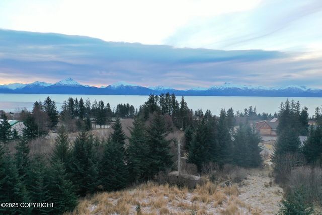 3720 Forest Glen Drive, Homer, AK 99603