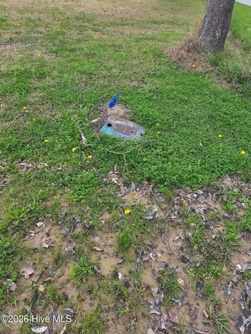 251 Alligator Loop Road, Merritt, NC 28556