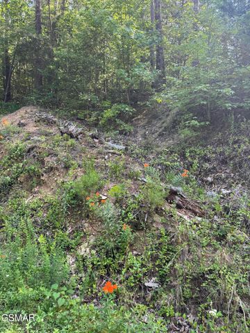 Lot 23 Walden Ridge Road, Sevierville, TN 37862