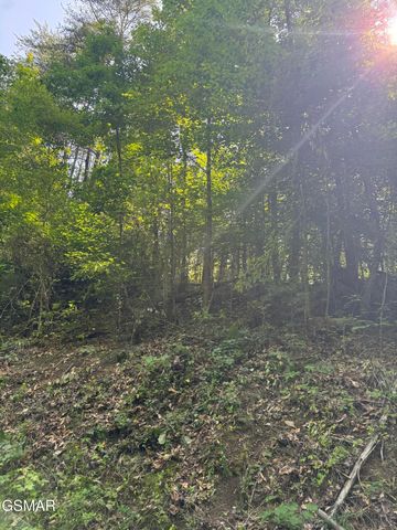 Lot 23 Walden Ridge Road, Sevierville, TN 37862