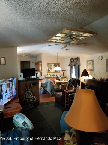 7068 W Pershing Drive, Homosassa, FL 34448
