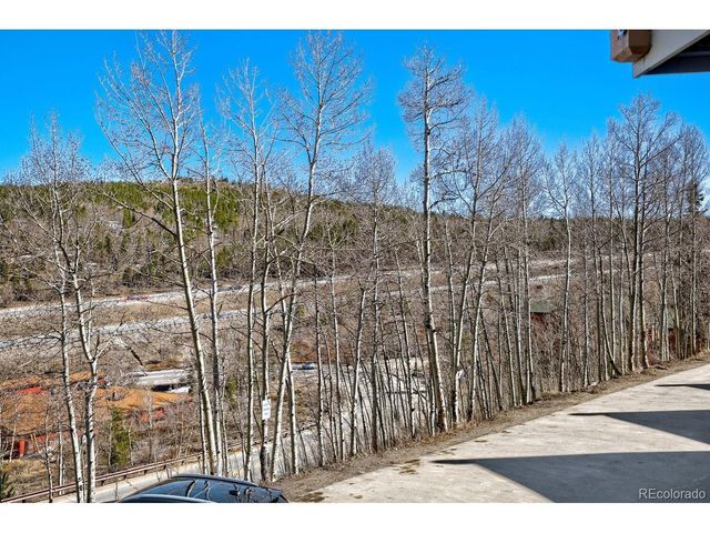 2401 Ryan Gulch Ct 109, Silverthorne, CO 80498